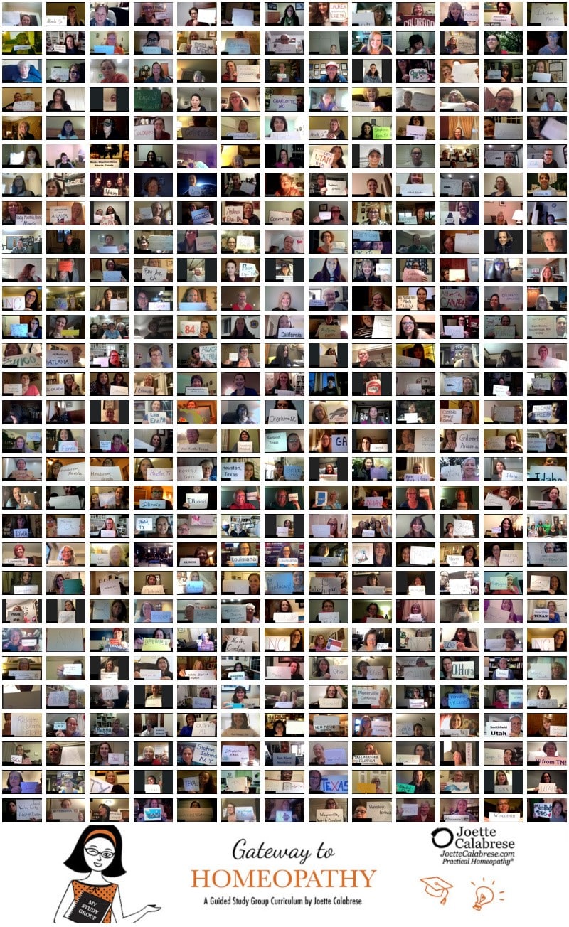 Gateway to Homeopathy Joette Calabrese