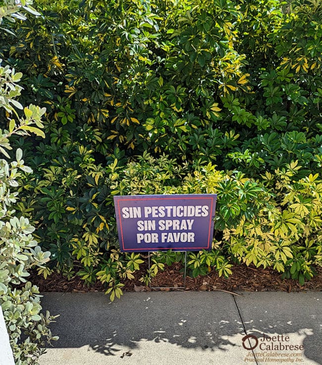 Joette Calabrese, Practical Homeopathy®, 4. Pesticides: How to Antidote Poisonous Toxins With Homeopathy Series