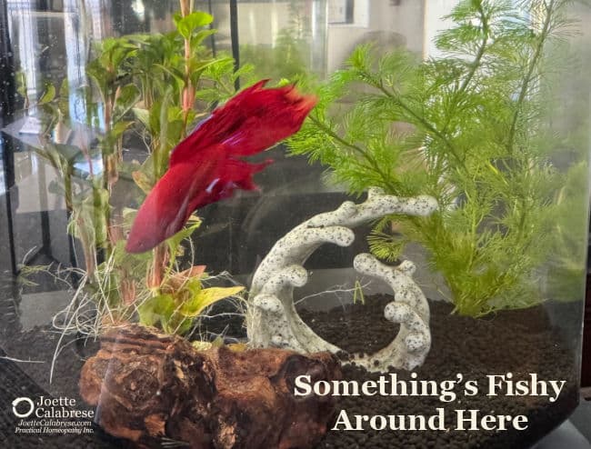 Joette Calabrese, Something’s Fishy Around Here: Practical Homeopathy® for your pet’s health